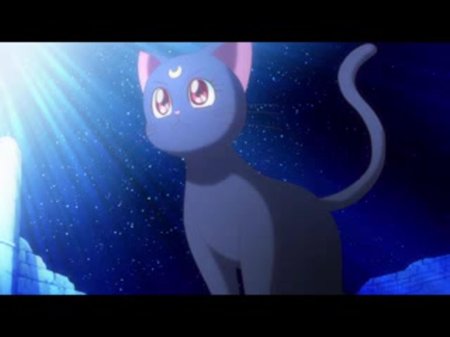 Сейлормун кошка Луна