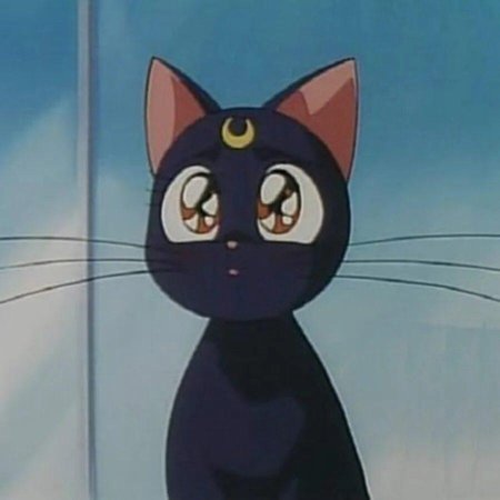 Луна сейлормун кошка