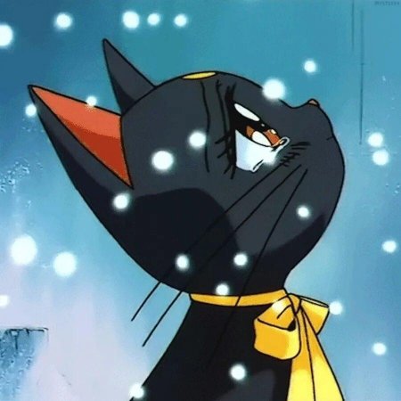 Луна сейлормун кошка