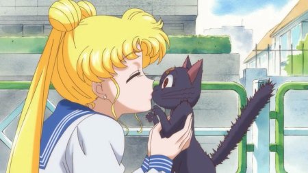 Усаги Цукино и кошка Луна