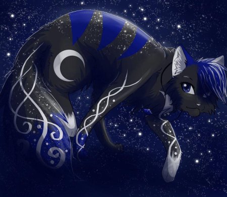 Космический кот коты Воители