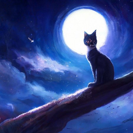 Кот луна