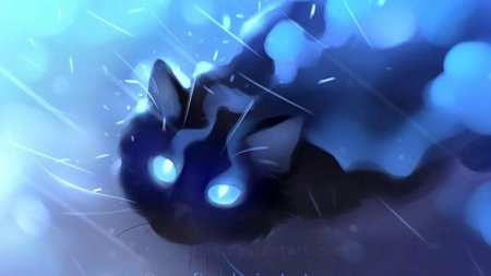 Апофис художник