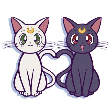 Кот Артемис из сейлормун