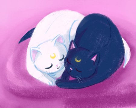 Sailor Moon Луна кошка