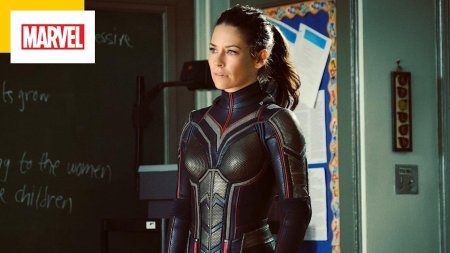 Эванджелин Лилли человек муравей