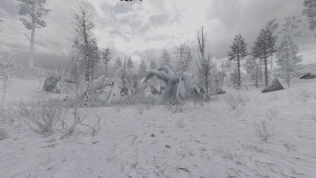 Зимняя зона сталкер