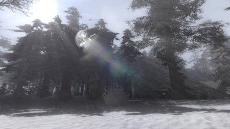 Сталкер зима кордон