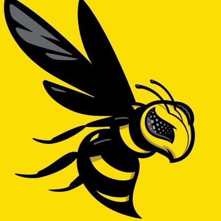 Шмель пчела Оса Шершень