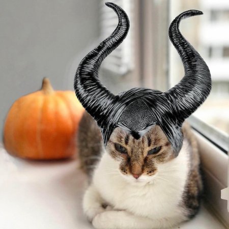 Кошка с рогами