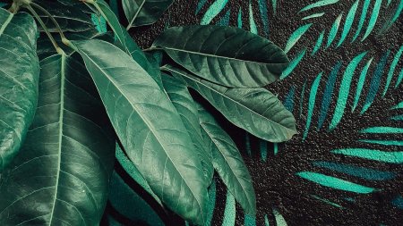 Тропические листья