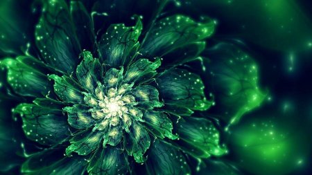 Цветок Сильвия Кордедда