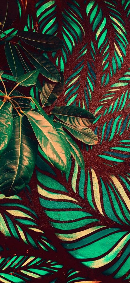 Темно зеленые листья