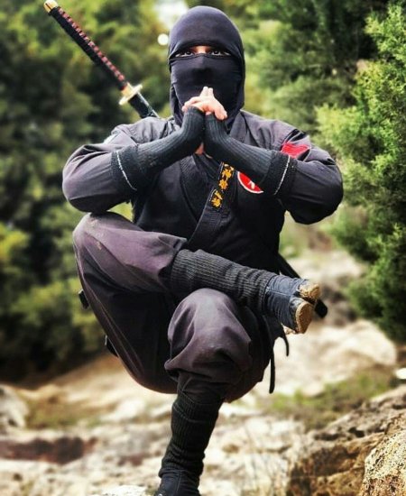 Воин ниндзя