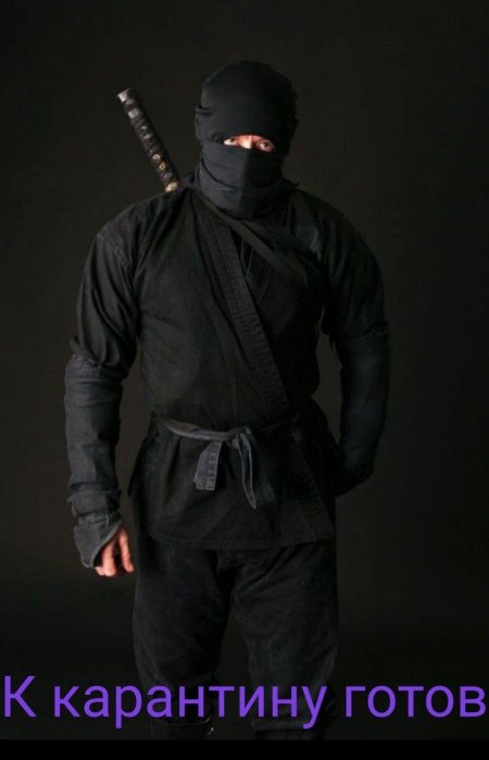 Ниндзя: воины-тени фильм 2012