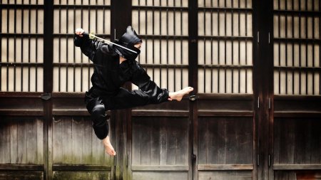 Ниндзя куноити