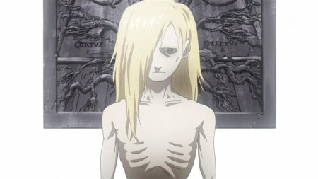 Стальной алхимик братство врата истины