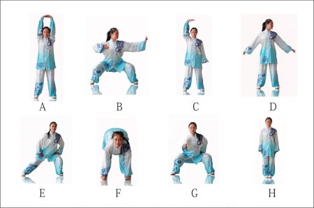 8 Отрезов парчи комплекс ба Дуань Цзин