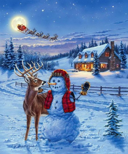 Художник Даррел Буш (Darrell Bush)