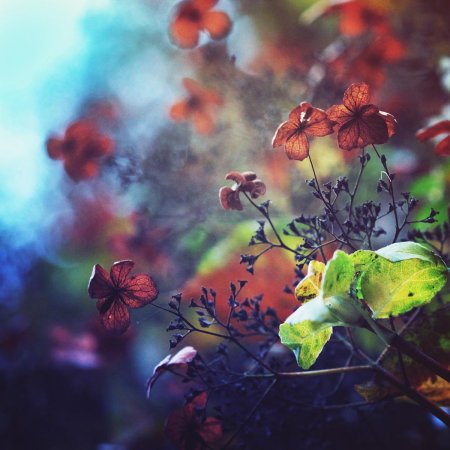 Вдохновение цветом