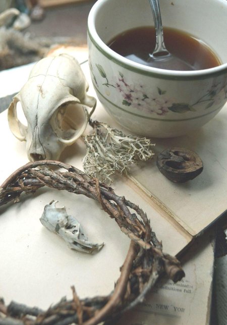 Ведьмы. Ведьмин чай