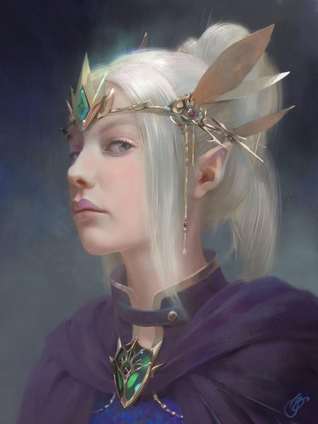 Айрис принцесса эльфов