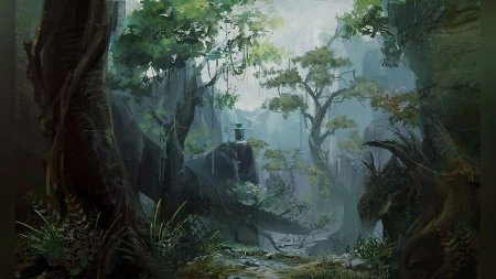 Пейзаж джунгли