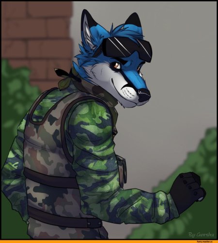 Фурри Лис солдат