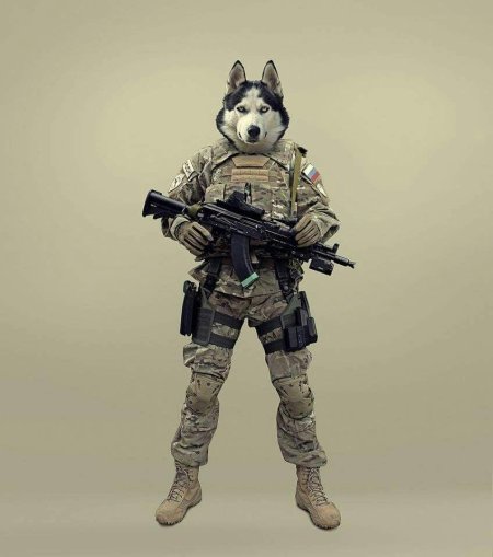 Волк спецназовец