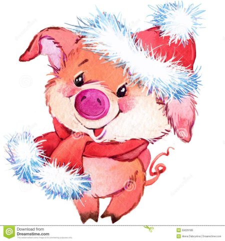 Свинья в новогоднем колпаке