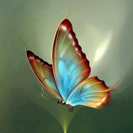 Волшебные бабочки