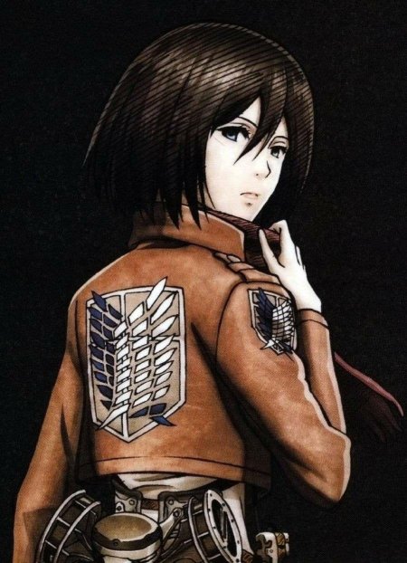 Микаса на аву