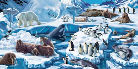 Животные Арктики и Антарктики