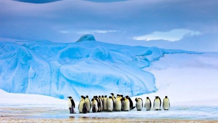 Арктика Северный полюс