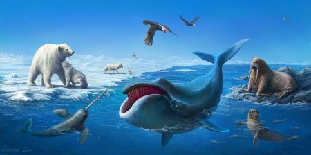 Киты Северного Ледовитого океана