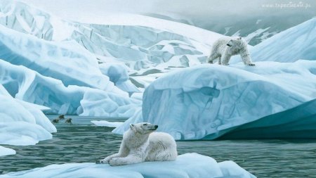 Арктика Северный полюс