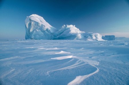 Антарктическая Полярная пустыня