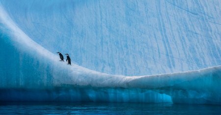 Арктика Антарктика Антарктида