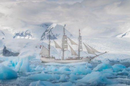 Барк Европа Антарктида