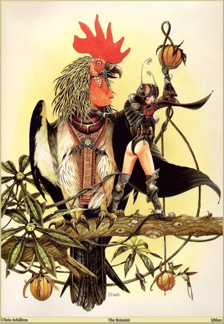 Крис Ахиллеос Амазонка