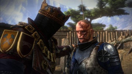 Солдат Темерии Ведьмак