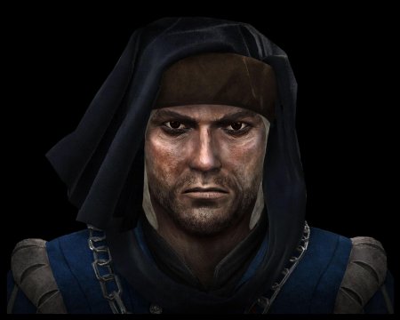 Ведьмак армия Темерии