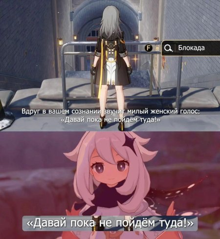 Honkai: Star Rail Мем