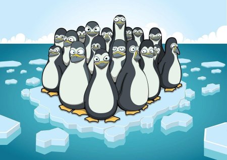 Стая пингвинов