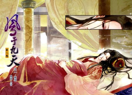 Маньхуа Феникс на девятом небе