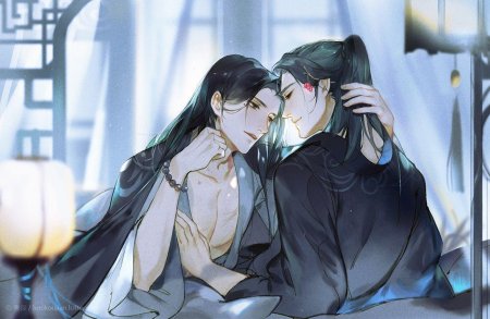 Китайский яой