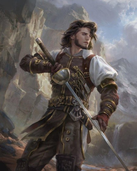 Принц Полуэльф плут