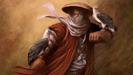 Фэнтези птицы