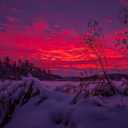 Зимний рассвет