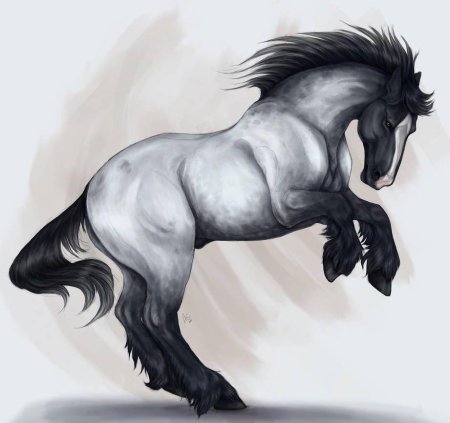Арты лошадей